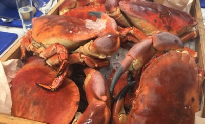What a Crab-Cracking Service!